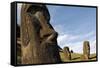 Moai in the Rano Raraku Volcanic Crater Formed of Consolidated Ash (Tuf)-Jean-Pierre De Mann-Framed Stretched Canvas