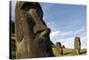 Moai in the Rano Raraku Volcanic Crater Formed of Consolidated Ash (Tuf)-Jean-Pierre De Mann-Stretched Canvas