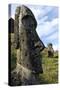 Moai in the Rano Raraku Volcanic Crater Formed of Consolidated Ash (Tuf)-Jean-Pierre De Mann-Stretched Canvas