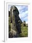 Moai in the Rano Raraku Volcanic Crater Formed of Consolidated Ash (Tuf)-Jean-Pierre De Mann-Framed Photographic Print