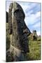 Moai in the Rano Raraku Volcanic Crater Formed of Consolidated Ash (Tuf)-Jean-Pierre De Mann-Mounted Photographic Print