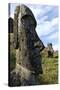 Moai in the Rano Raraku Volcanic Crater Formed of Consolidated Ash (Tuf)-Jean-Pierre De Mann-Stretched Canvas