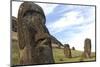 Moai in the Rano Raraku Volcanic Crater Formed of Consolidated Ash (Tuf)-Jean-Pierre De Mann-Mounted Photographic Print