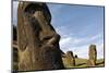 Moai in the Rano Raraku Volcanic Crater Formed of Consolidated Ash (Tuf)-Jean-Pierre De Mann-Mounted Photographic Print