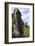 Moai in the Rano Raraku Volcanic Crater Formed of Consolidated Ash (Tuf)-Jean-Pierre De Mann-Framed Photographic Print