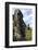 Moai in the Rano Raraku Volcanic Crater Formed of Consolidated Ash (Tuf)-Jean-Pierre De Mann-Framed Photographic Print