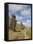 Moai Quarry, Rano Raraku Volcano, Unesco World Heritage Site, Easter Island (Rapa Nui), Chile-Michael Snell-Framed Stretched Canvas