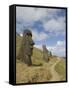 Moai Quarry, Rano Raraku Volcano, Unesco World Heritage Site, Easter Island (Rapa Nui), Chile-Michael Snell-Framed Stretched Canvas