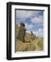 Moai Quarry, Rano Raraku Volcano, Unesco World Heritage Site, Easter Island (Rapa Nui), Chile-Michael Snell-Framed Photographic Print