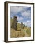 Moai Quarry, Rano Raraku Volcano, Unesco World Heritage Site, Easter Island (Rapa Nui), Chile-Michael Snell-Framed Photographic Print