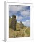 Moai Quarry, Rano Raraku Volcano, Unesco World Heritage Site, Easter Island (Rapa Nui), Chile-Michael Snell-Framed Photographic Print