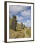 Moai Quarry, Rano Raraku Volcano, Unesco World Heritage Site, Easter Island (Rapa Nui), Chile-Michael Snell-Framed Photographic Print