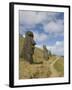 Moai Quarry, Rano Raraku Volcano, Unesco World Heritage Site, Easter Island (Rapa Nui), Chile-Michael Snell-Framed Photographic Print