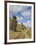 Moai Quarry, Rano Raraku Volcano, Unesco World Heritage Site, Easter Island (Rapa Nui), Chile-Michael Snell-Framed Photographic Print