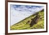 Moai Sculptures in Various Stages of Completion at Rano Raraku-Michael Nolan-Framed Photographic Print