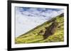 Moai Sculptures in Various Stages of Completion at Rano Raraku-Michael Nolan-Framed Photographic Print