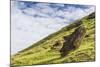 Moai Sculptures in Various Stages of Completion at Rano Raraku-Michael Nolan-Mounted Photographic Print