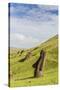 Moai Sculptures in Various Stages of Completion at Rano Raraku-Michael Nolan-Stretched Canvas