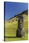 Moai Sculptures in Various Stages of Completion at Rano Raraku-Michael Nolan-Stretched Canvas