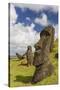 Moai Sculptures in Various Stages of Completion at Rano Raraku-Michael Nolan-Stretched Canvas