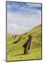 Moai Sculptures in Various Stages of Completion at Rano Raraku-Michael Nolan-Mounted Photographic Print