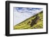 Moai Sculptures in Various Stages of Completion at Rano Raraku-Michael Nolan-Framed Photographic Print