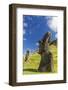 Moai Sculptures in Various Stages of Completion at Rano Raraku-Michael Nolan-Framed Photographic Print