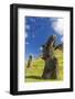 Moai Sculptures in Various Stages of Completion at Rano Raraku-Michael Nolan-Framed Photographic Print