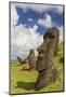 Moai Sculptures in Various Stages of Completion at Rano Raraku-Michael Nolan-Mounted Photographic Print