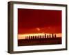 Moai Silhouette, Ahu Tongariki, Easter Island, Chile-Keren Su-Framed Photographic Print