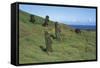 Moai-null-Framed Stretched Canvas