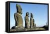 Moai-null-Framed Stretched Canvas