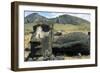 Moai-null-Framed Giclee Print