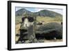 Moai-null-Framed Giclee Print