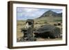 Moai-null-Framed Giclee Print