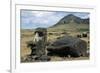 Moai-null-Framed Giclee Print