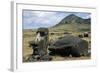 Moai-null-Framed Giclee Print