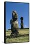 Moai-null-Framed Stretched Canvas