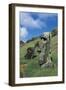 Moai-null-Framed Giclee Print