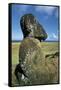 Moai-null-Framed Stretched Canvas