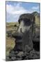 Moai-null-Mounted Giclee Print