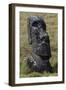 Moai-null-Framed Giclee Print