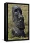 Moai-null-Framed Stretched Canvas