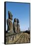 Moai-null-Framed Stretched Canvas