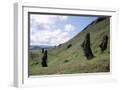 White Frame