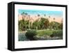 Moanalua Gardens, Honolulu, Hawaii-null-Framed Stretched Canvas