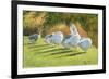 Moat Edge, Bedfield-Timothy Easton-Framed Giclee Print