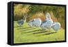 Moat Edge, Bedfield-Timothy Easton-Framed Stretched Canvas