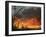 Mobile Home Sits Competely Engulfed in Flames in South Arlington, Texas-null-Framed Photographic Print