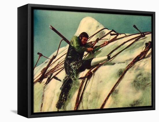 Moby Dick, Gregory Peck, 1956-null-Framed Stretched Canvas